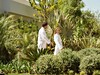 Ikos Resort Kos -